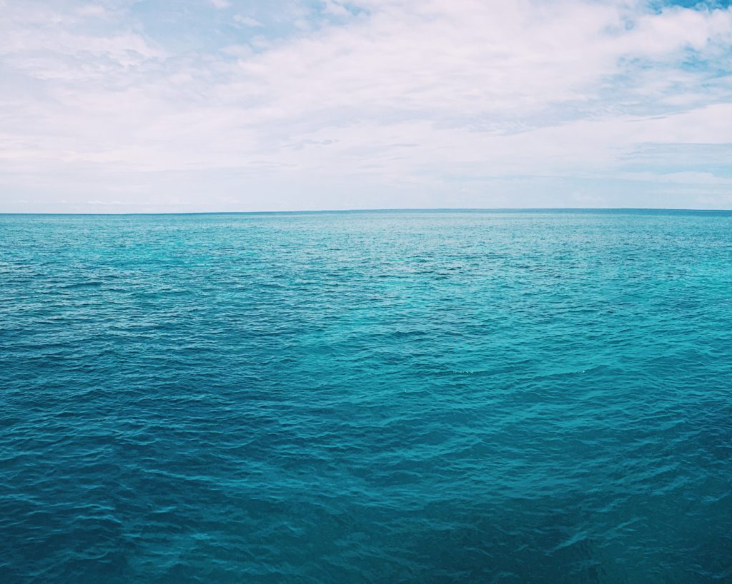 morning view reef encounter cairns